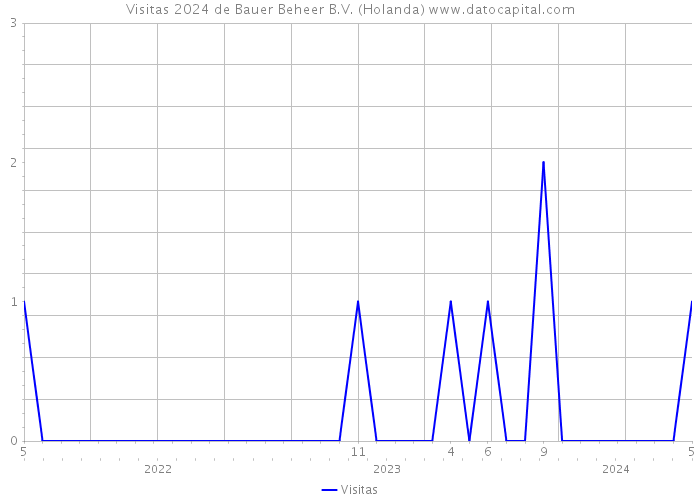 Visitas 2024 de Bauer Beheer B.V. (Holanda) 