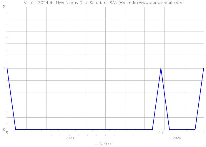 Visitas 2024 de New Nexus Data Solutions B.V. (Holanda) 