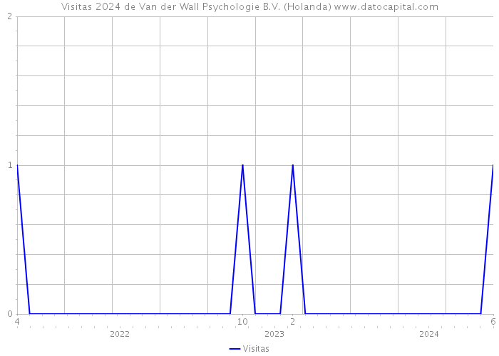 Visitas 2024 de Van der Wall Psychologie B.V. (Holanda) 