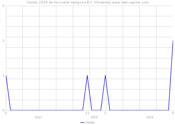 Visitas 2024 de Hooiveld Vastgoed B.V. (Holanda) 