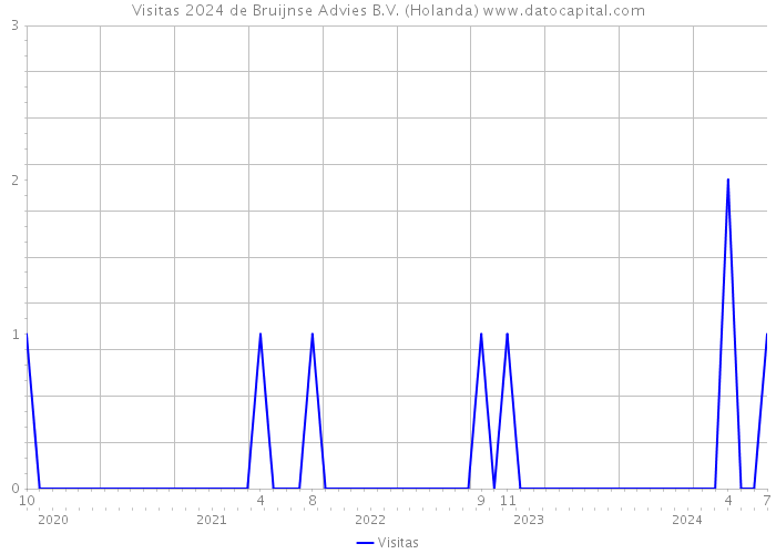 Visitas 2024 de Bruijnse Advies B.V. (Holanda) 