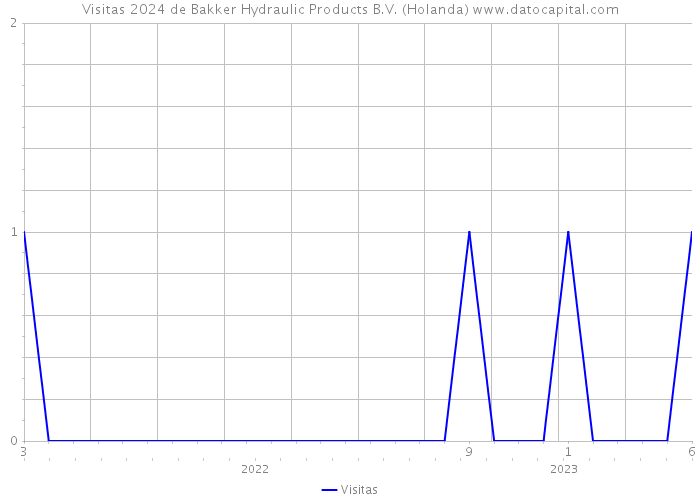 Visitas 2024 de Bakker Hydraulic Products B.V. (Holanda) 