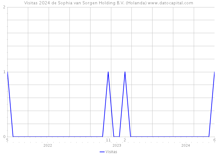 Visitas 2024 de Sophia van Sorgen Holding B.V. (Holanda) 