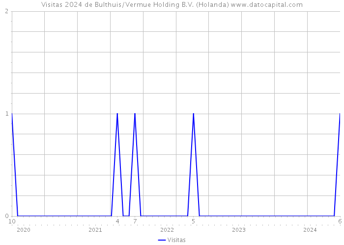 Visitas 2024 de Bulthuis/Vermue Holding B.V. (Holanda) 