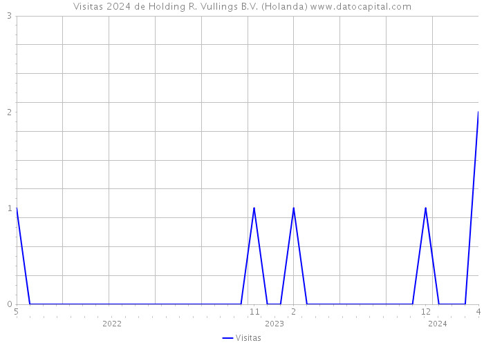 Visitas 2024 de Holding R. Vullings B.V. (Holanda) 