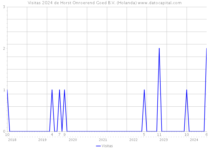 Visitas 2024 de Horst Onroerend Goed B.V. (Holanda) 