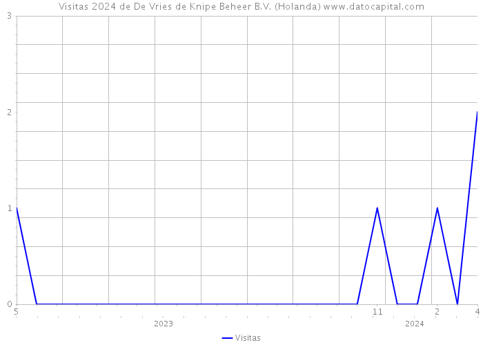 Visitas 2024 de De Vries de Knipe Beheer B.V. (Holanda) 