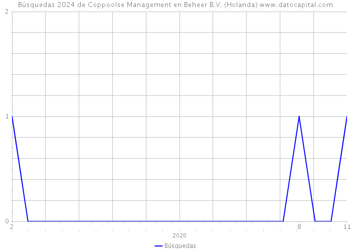 Búsquedas 2024 de Coppoolse Management en Beheer B.V. (Holanda) 