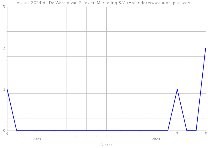 Visitas 2024 de De Wereld van Sales en Marketing B.V. (Holanda) 