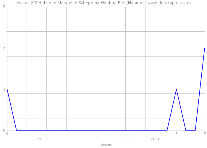 Visitas 2024 de Van Meppelen Scheppink Holding B.V. (Holanda) 