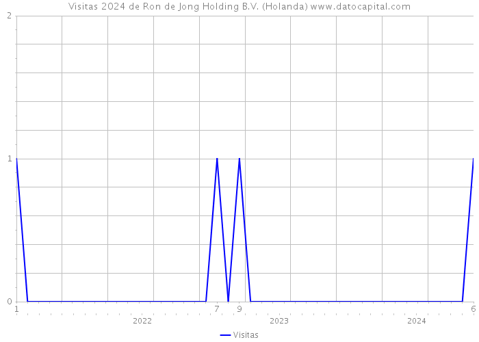 Visitas 2024 de Ron de Jong Holding B.V. (Holanda) 
