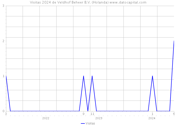 Visitas 2024 de Veldhof Beheer B.V. (Holanda) 