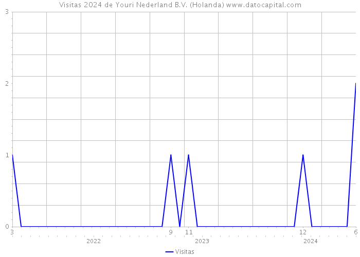 Visitas 2024 de Youri Nederland B.V. (Holanda) 