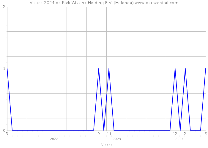 Visitas 2024 de Rick Wissink Holding B.V. (Holanda) 