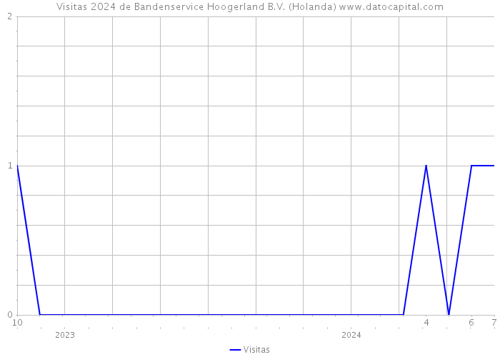 Visitas 2024 de Bandenservice Hoogerland B.V. (Holanda) 