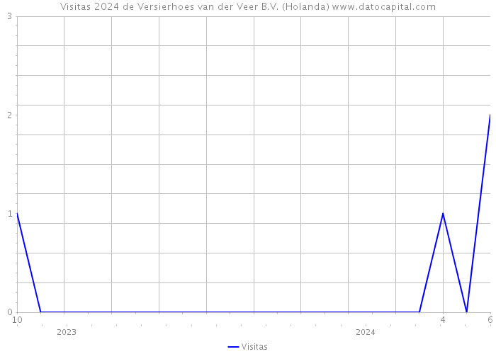 Visitas 2024 de Versierhoes van der Veer B.V. (Holanda) 