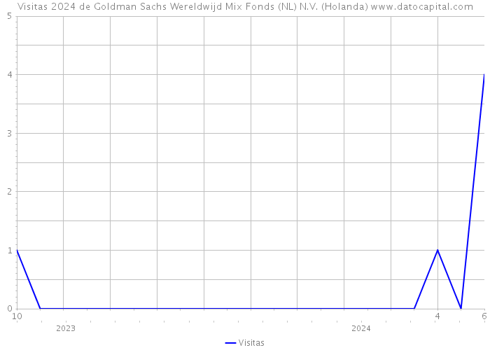 Visitas 2024 de Goldman Sachs Wereldwijd Mix Fonds (NL) N.V. (Holanda) 