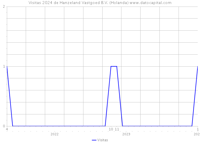 Visitas 2024 de Hanzeland Vastgoed B.V. (Holanda) 