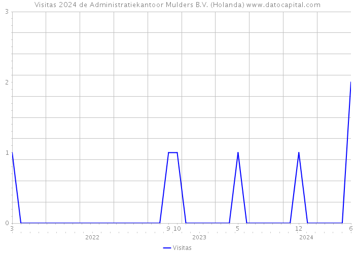 Visitas 2024 de Administratiekantoor Mulders B.V. (Holanda) 