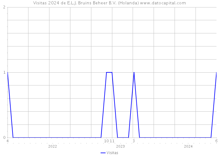 Visitas 2024 de E.L.J. Bruins Beheer B.V. (Holanda) 