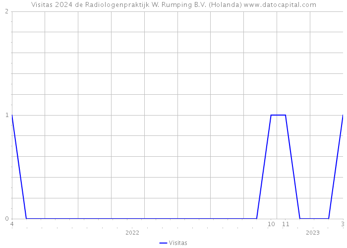 Visitas 2024 de Radiologenpraktijk W. Rumping B.V. (Holanda) 