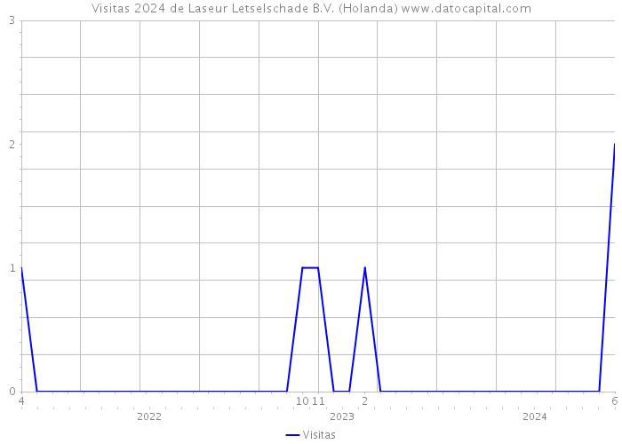 Visitas 2024 de Laseur Letselschade B.V. (Holanda) 