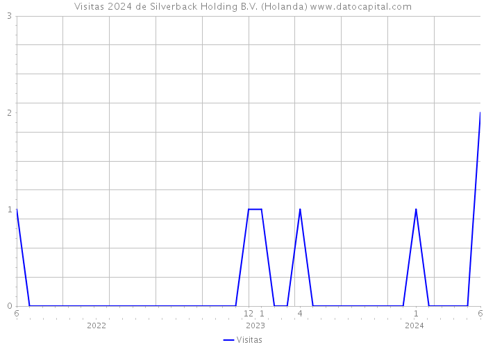 Visitas 2024 de Silverback Holding B.V. (Holanda) 