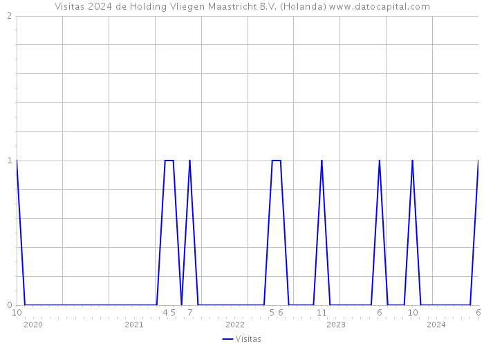 Visitas 2024 de Holding Vliegen Maastricht B.V. (Holanda) 