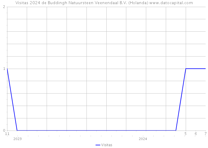 Visitas 2024 de Buddingh Natuursteen Veenendaal B.V. (Holanda) 