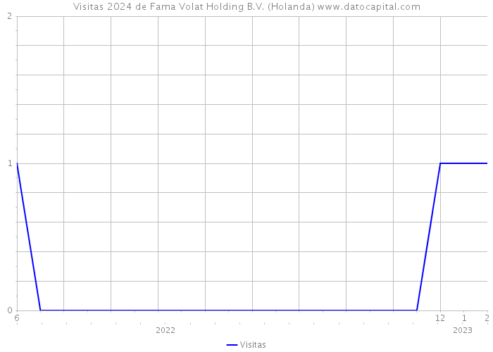 Visitas 2024 de Fama Volat Holding B.V. (Holanda) 
