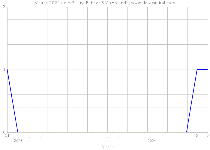 Visitas 2024 de A.P. Luyt Beheer B.V. (Holanda) 