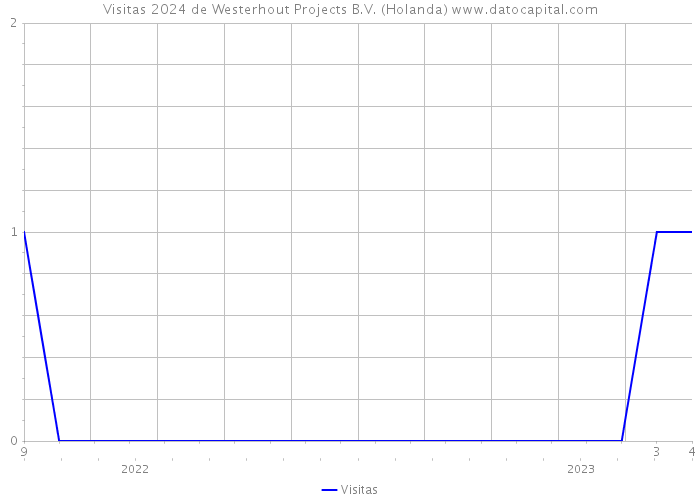 Visitas 2024 de Westerhout Projects B.V. (Holanda) 
