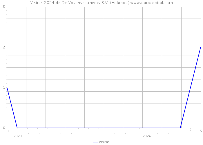 Visitas 2024 de De Vos Investments B.V. (Holanda) 
