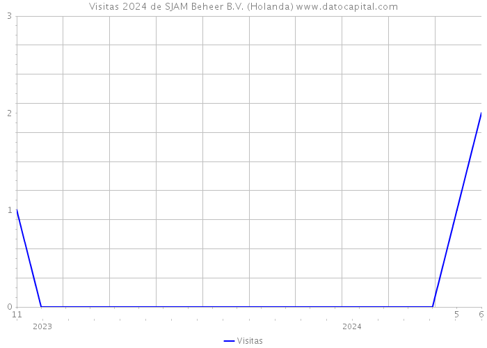 Visitas 2024 de SJAM Beheer B.V. (Holanda) 