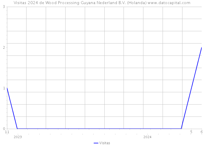 Visitas 2024 de Wood Processing Guyana Nederland B.V. (Holanda) 