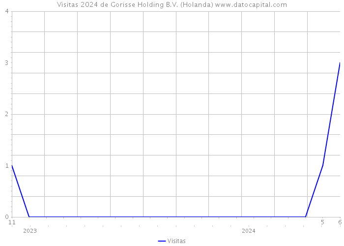 Visitas 2024 de Gorisse Holding B.V. (Holanda) 