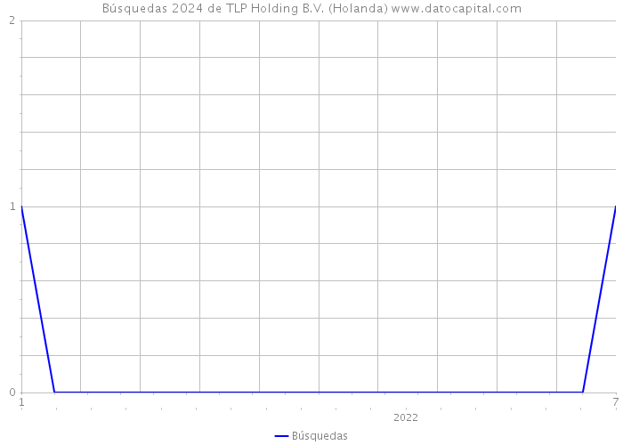 Búsquedas 2024 de TLP Holding B.V. (Holanda) 