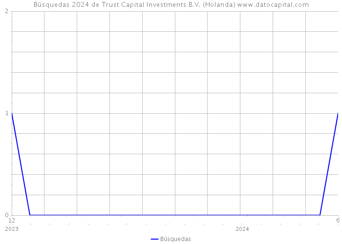 Búsquedas 2024 de Trust Capital Investments B.V. (Holanda) 