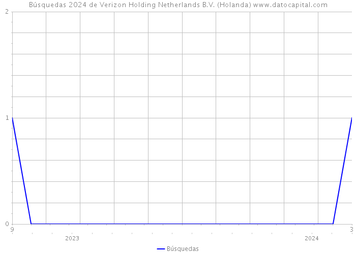 Búsquedas 2024 de Verizon Holding Netherlands B.V. (Holanda) 
