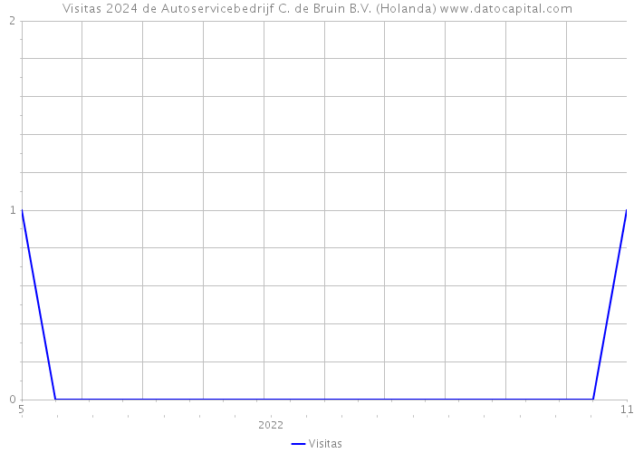 Visitas 2024 de Autoservicebedrijf C. de Bruin B.V. (Holanda) 