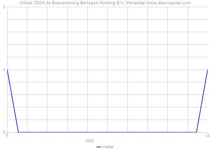 Visitas 2024 de Brandenburg Barlagen Holding B.V. (Holanda) 