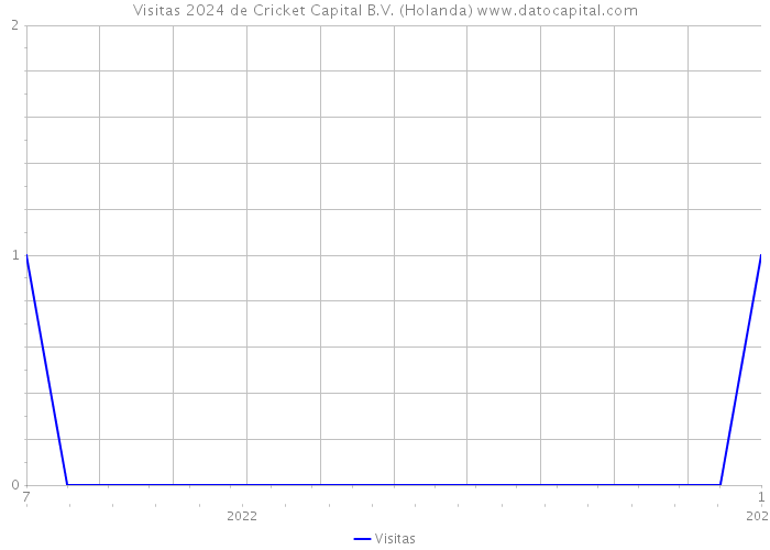 Visitas 2024 de Cricket Capital B.V. (Holanda) 