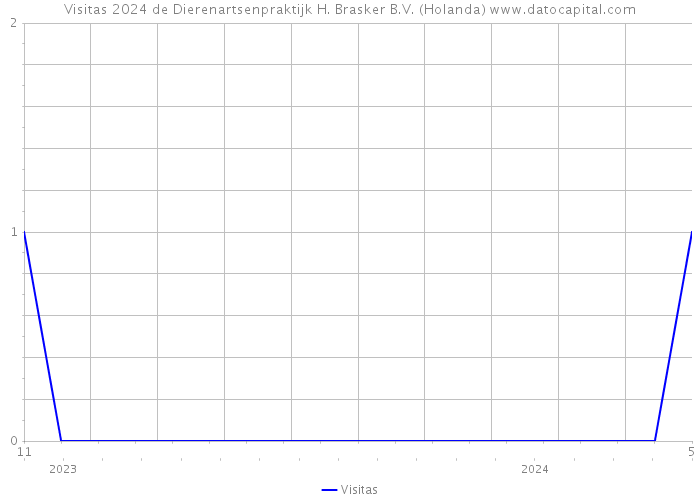 Visitas 2024 de Dierenartsenpraktijk H. Brasker B.V. (Holanda) 