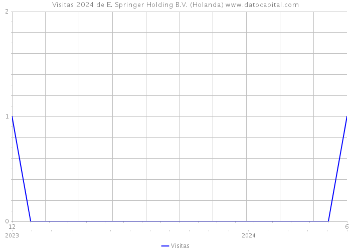 Visitas 2024 de E. Springer Holding B.V. (Holanda) 