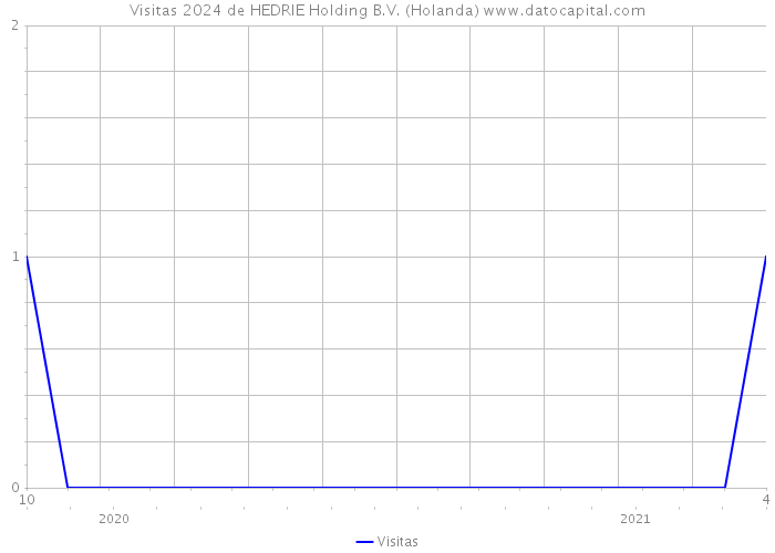 Visitas 2024 de HEDRIE Holding B.V. (Holanda) 