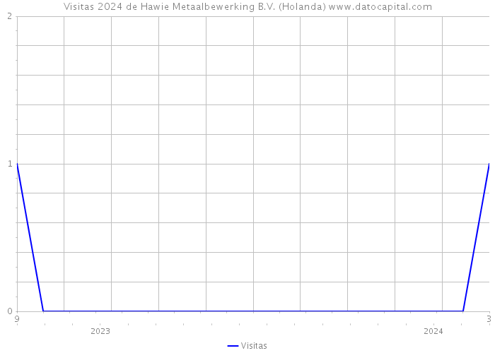 Visitas 2024 de Hawie Metaalbewerking B.V. (Holanda) 