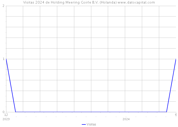 Visitas 2024 de Holding Meering Goirle B.V. (Holanda) 