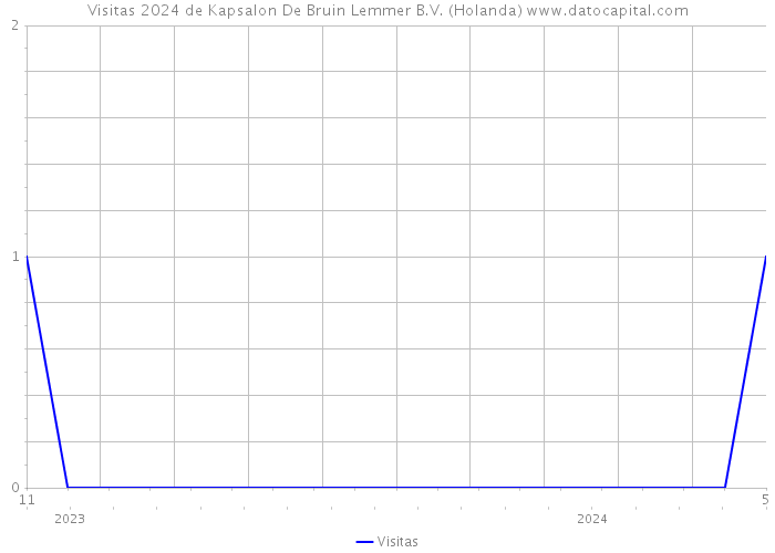 Visitas 2024 de Kapsalon De Bruin Lemmer B.V. (Holanda) 