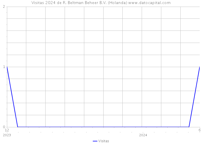 Visitas 2024 de R. Beltman Beheer B.V. (Holanda) 