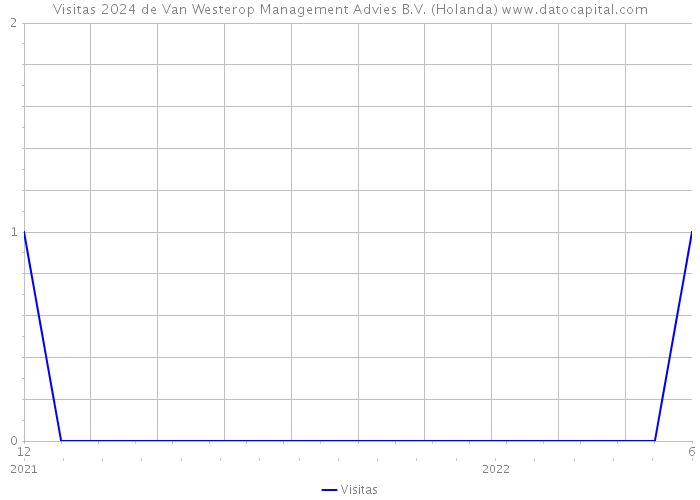 Visitas 2024 de Van Westerop Management Advies B.V. (Holanda) 